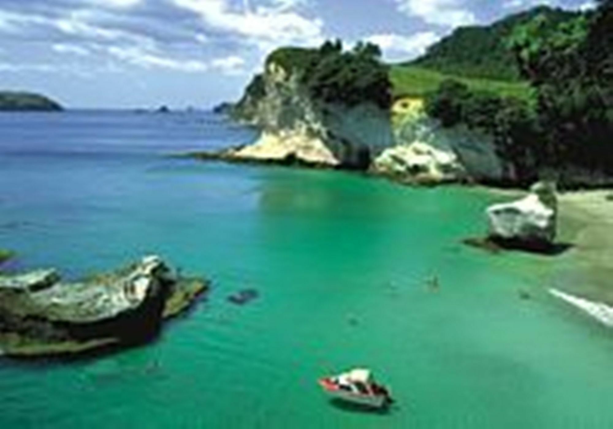 Marina Park Apartments Whitianga Bagian luar foto